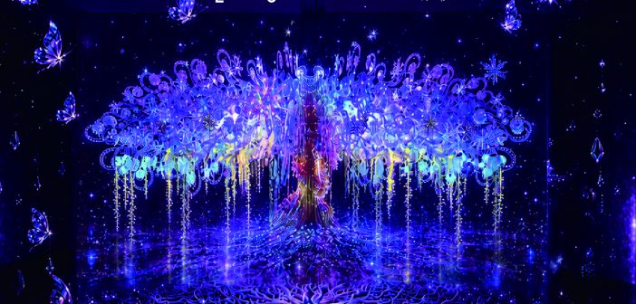 영상, 빛 머무는 섬展